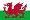 Grupp B Wales